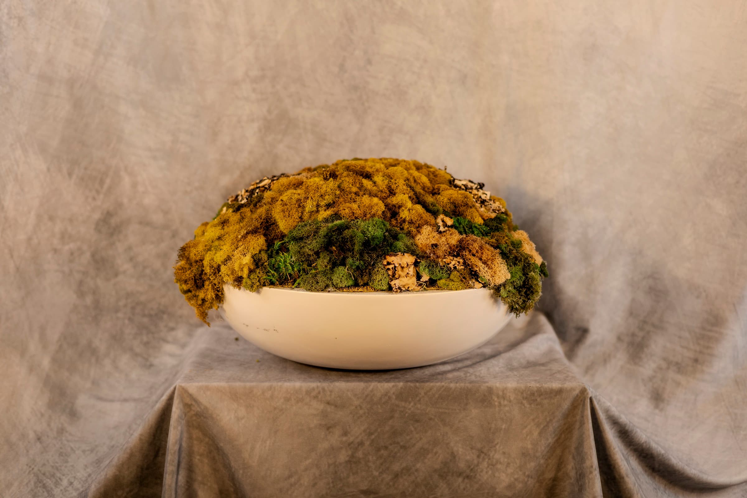 Humus
